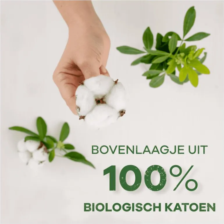 Always Maandverband Bio Cotton Normal Big Pack