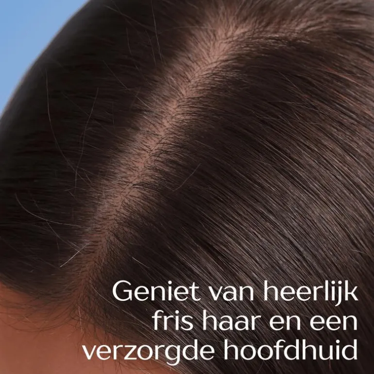 Andrélon Anti-Roos Shampoo 250 ML
