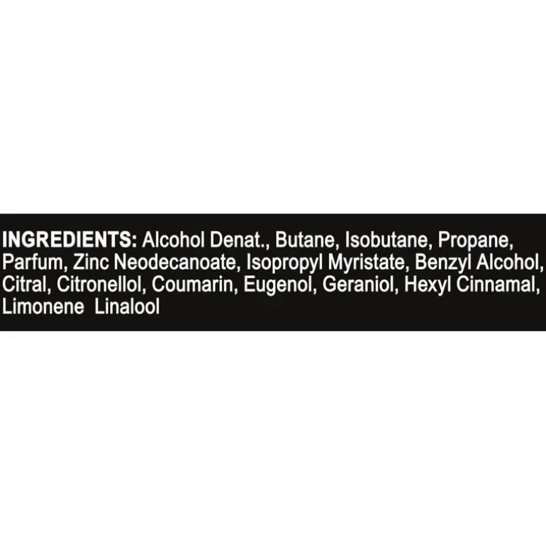 AXE Epic Fresh Deodorant Bodyspray 150 ML