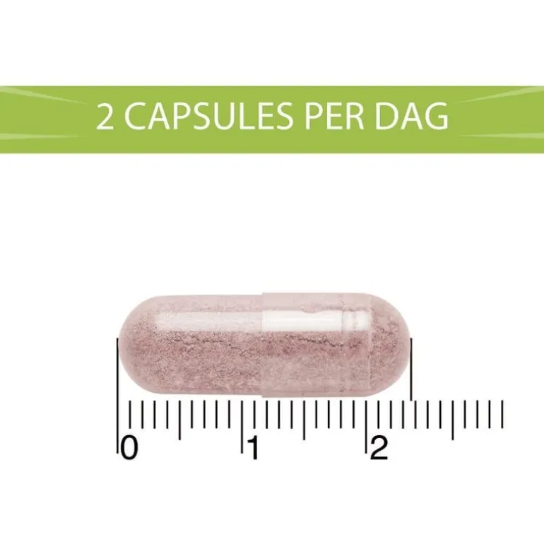 BlaseBerry 100 capsules