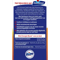 Davitamon Energie Boost Forte Kauwvitamines Bosvruchtensmaak