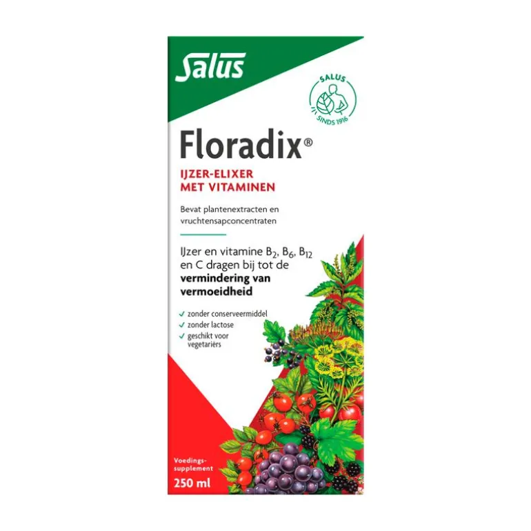 Floradix Vloeibaar IJzer Elixer