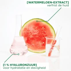 Garnier SkinActive Ampul Sheet Masker Met Watermeloen & Hyaluronzuur