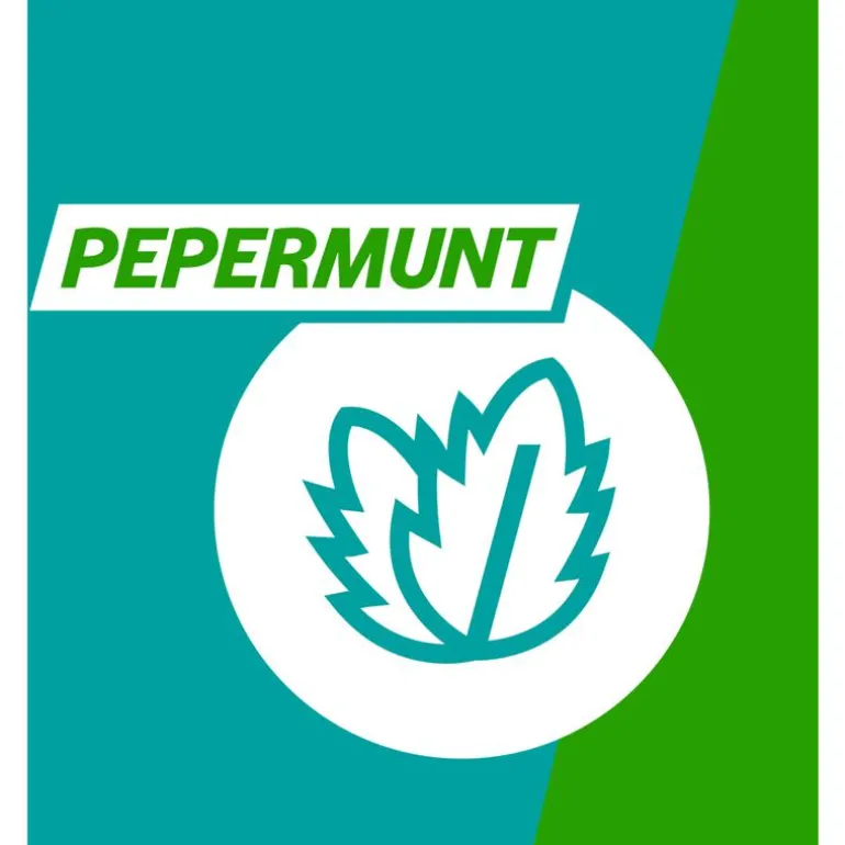 Gaviscon Kauwtabletten Pepermunt Maagzuurremmers 16 Stuks