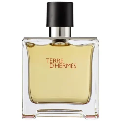 Hermes Terre d'Hermes eau de parfum 75 ML