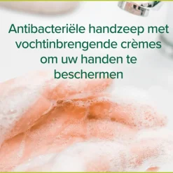 Palmolive Hygiëne Plus Family Antibacteriële Vloeibare Handzeep 500 ML