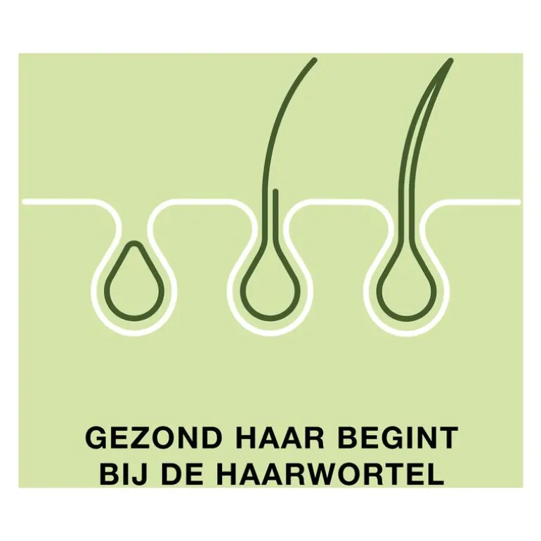 Priorin 60 Capsules Met Biotine Voor Sterk En Vol Haar Van Binnenuit
