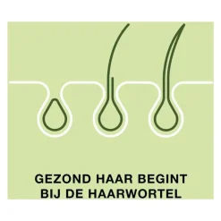 Priorin 120 Capsules Met Biotine Voor Sterk En Vol Haar Van Binnenuit