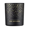 Ted Sparks Demi Candle Cinnamon & Spice