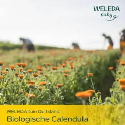 Weleda Calendula Liniment Babybillen Reinigingsmelk 400 ML