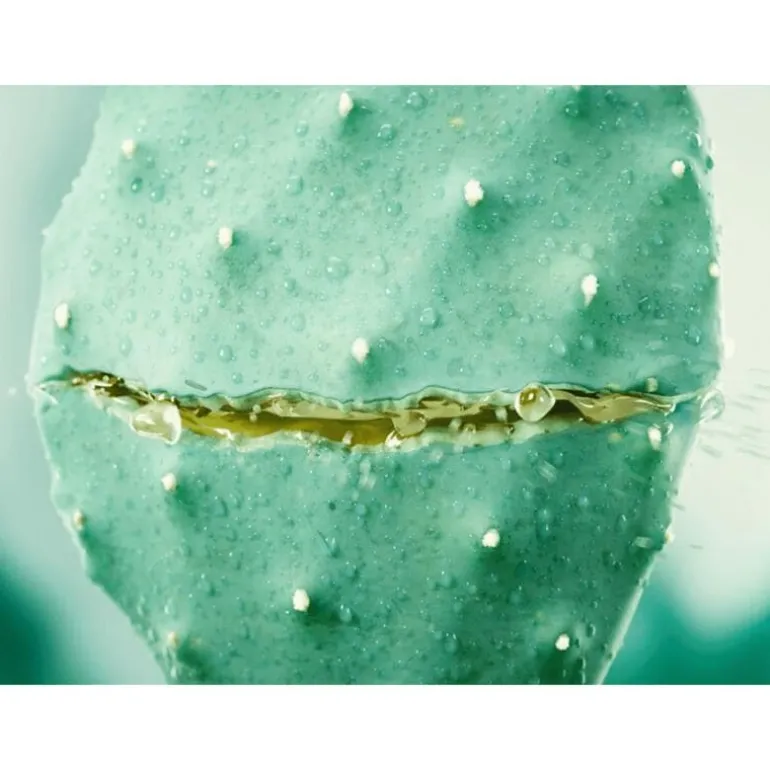 Weleda Vijgencactus Hydraterende Gezichtscrème 30 ML