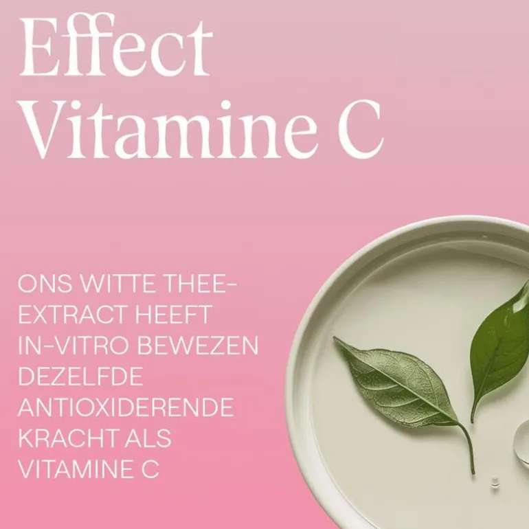 Weleda Wilde Rozen & Witte Thee Vitaliserende Nachtcrème 40 ML
